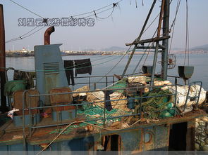 油貴魚少虧本，威海漁港大船不出海實拍背后 畜牧漁業飼料銷售困境與出路探析