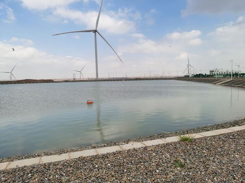 智慧漁業(yè) 水質(zhì)監(jiān)測(cè)守護(hù)藍(lán)色生態(tài)，協(xié)同飼料銷(xiāo)售驅(qū)動(dòng)產(chǎn)業(yè)升級(jí)